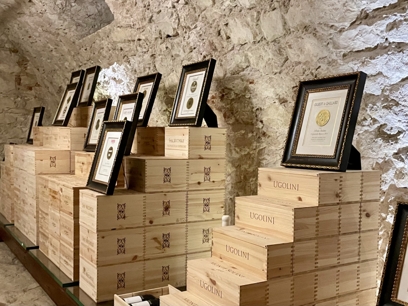 Weingut-Ugolini
