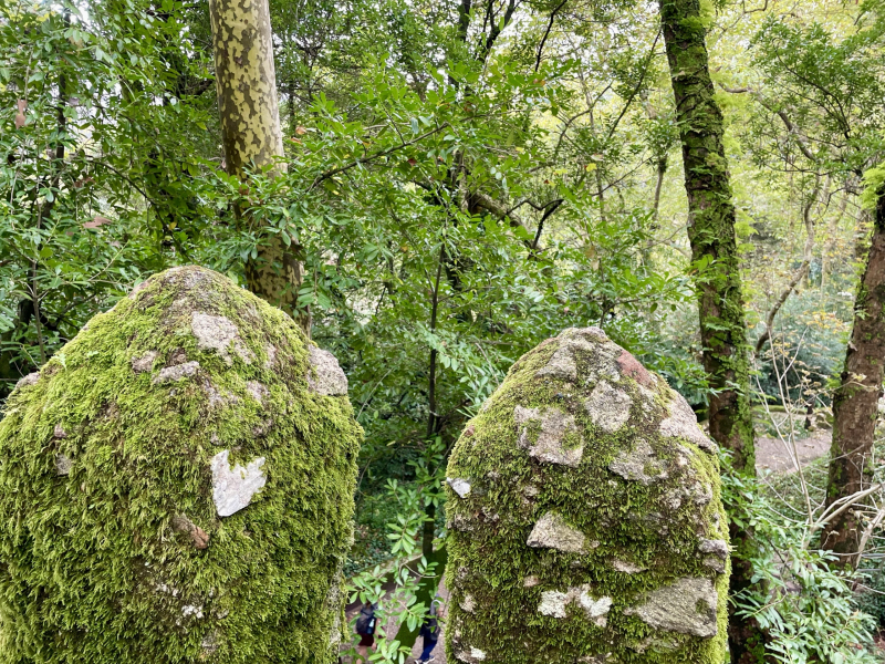 Wanderweg