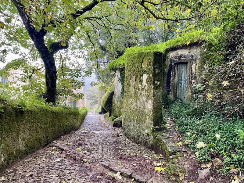 Castelo-dos-Mouros-Park