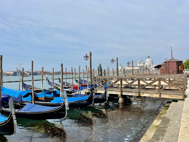 Venedig-Goldeln