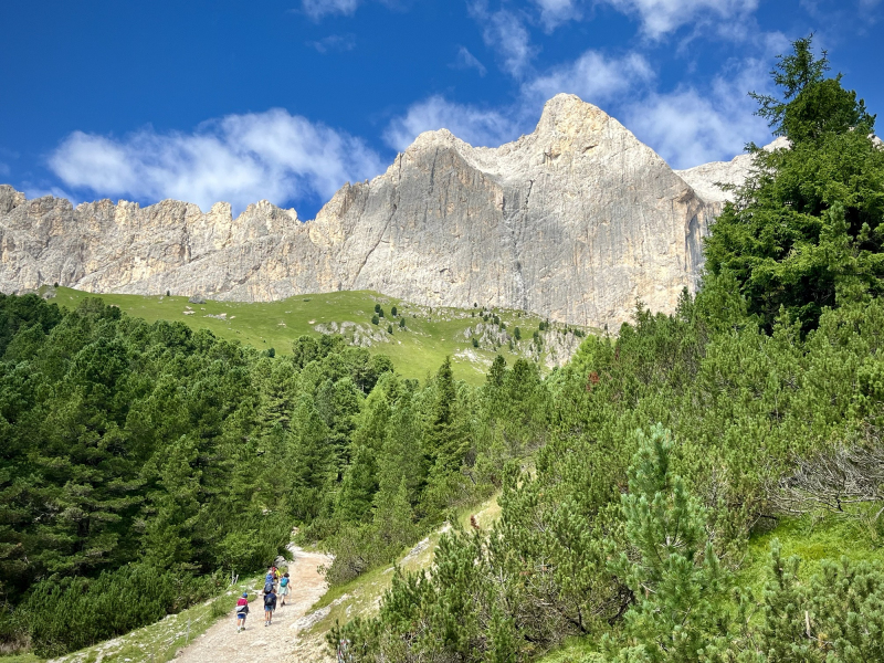 Rosengarten-Südtirol