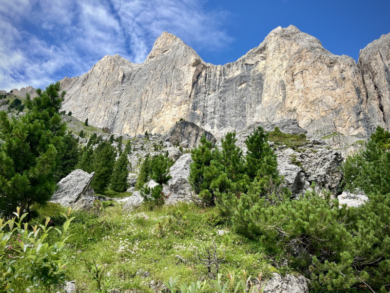Rosengarten-Südtirol