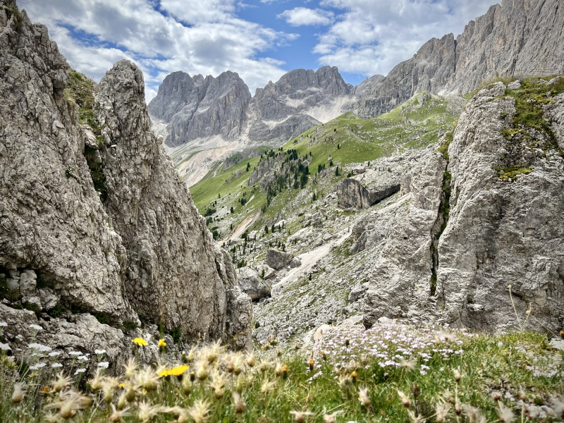 Dolomiten-Rosengarten
