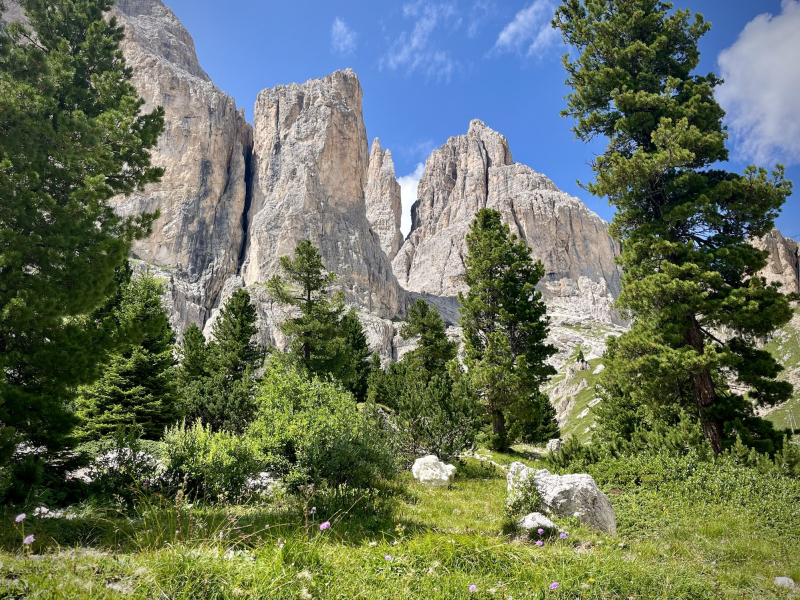 Südtirol-Rosengarten