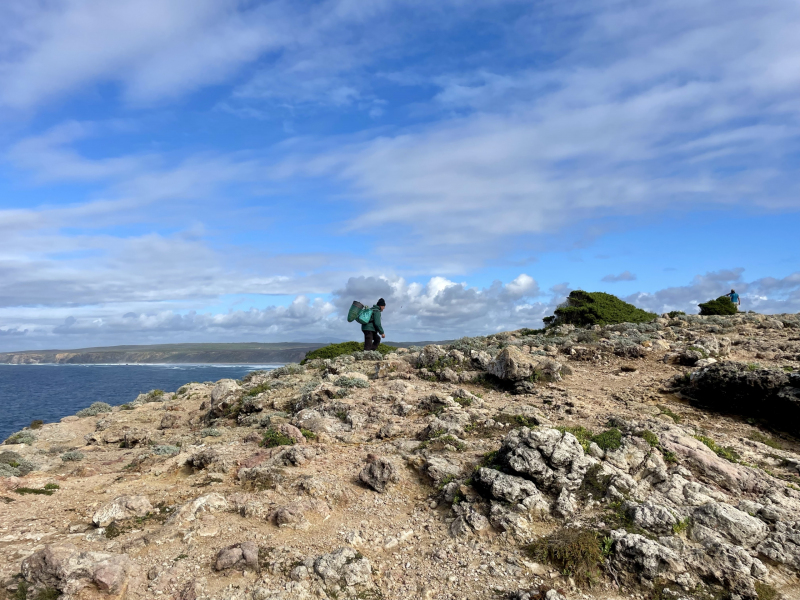 Algarve-Bordeira-Küste