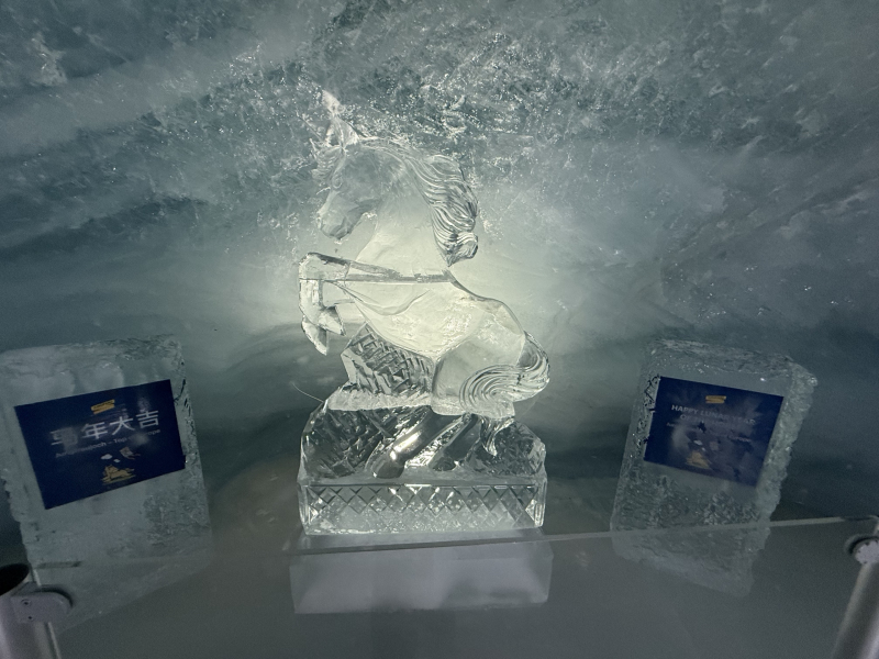 Top-of-Europe-Ice-Palace