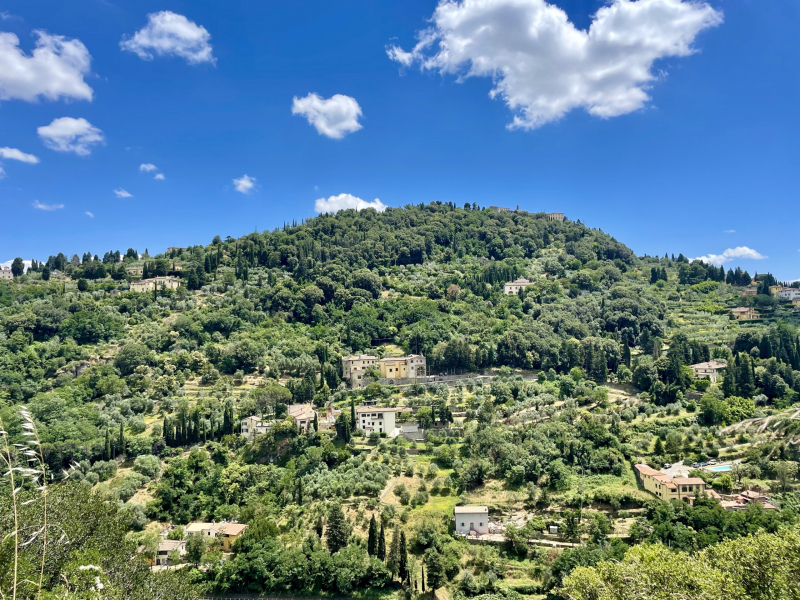 Florenz-Blick-auf-die-Stadt