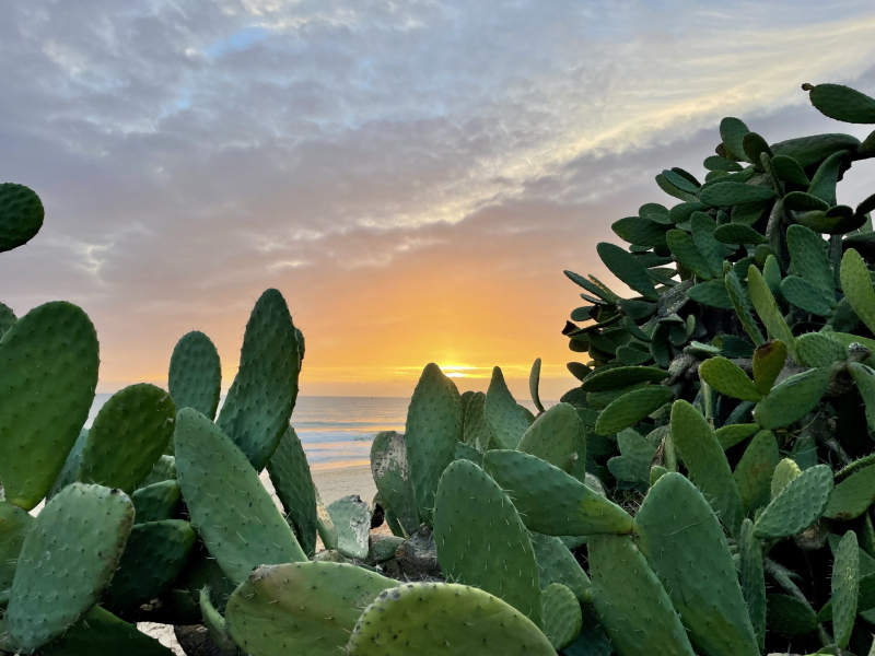Sonnenuntergang-am-Strand