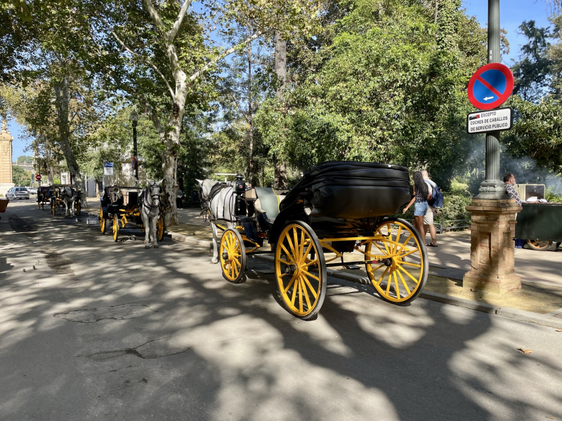 Sevilla-Park-mit-Kutsche