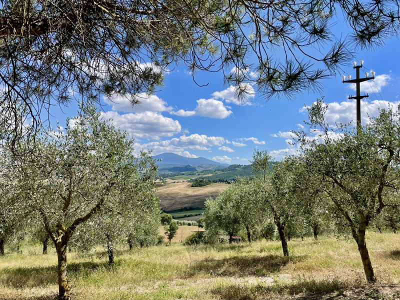 Toskana-San-Quiricio