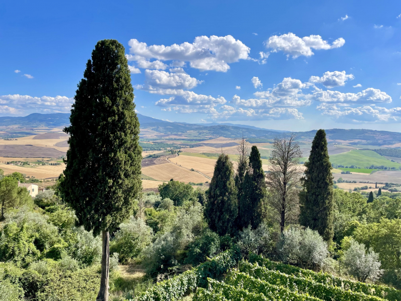 Pienza-Ausblick