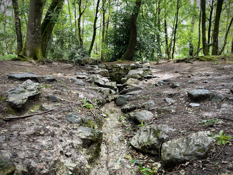 Brocéliande-Quelle-Barenton