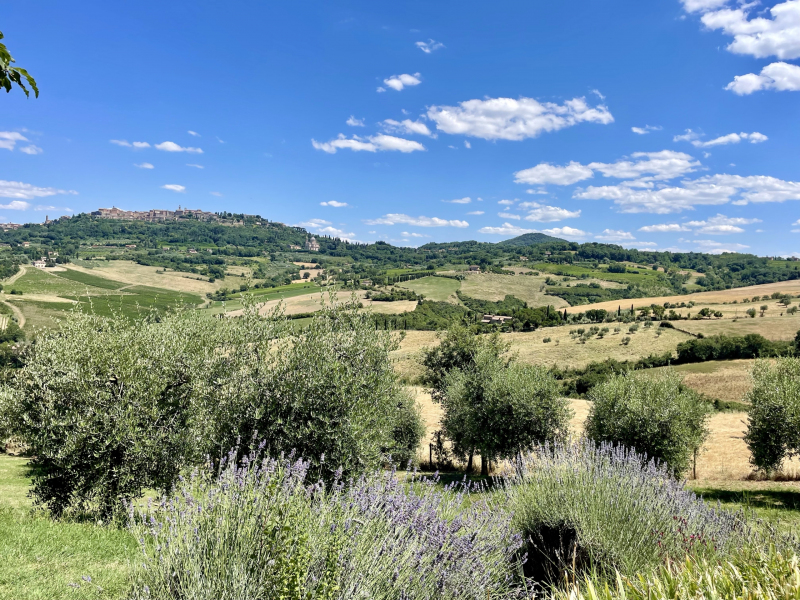 Caseificio-Cugusi-Silvana-Aussicht