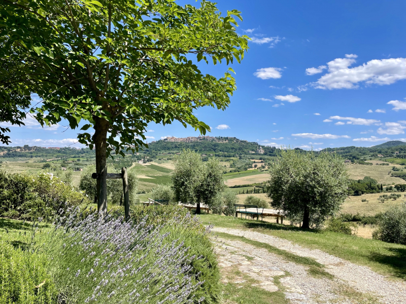 Caseificio-Cugusi-Silvana-Aussicht