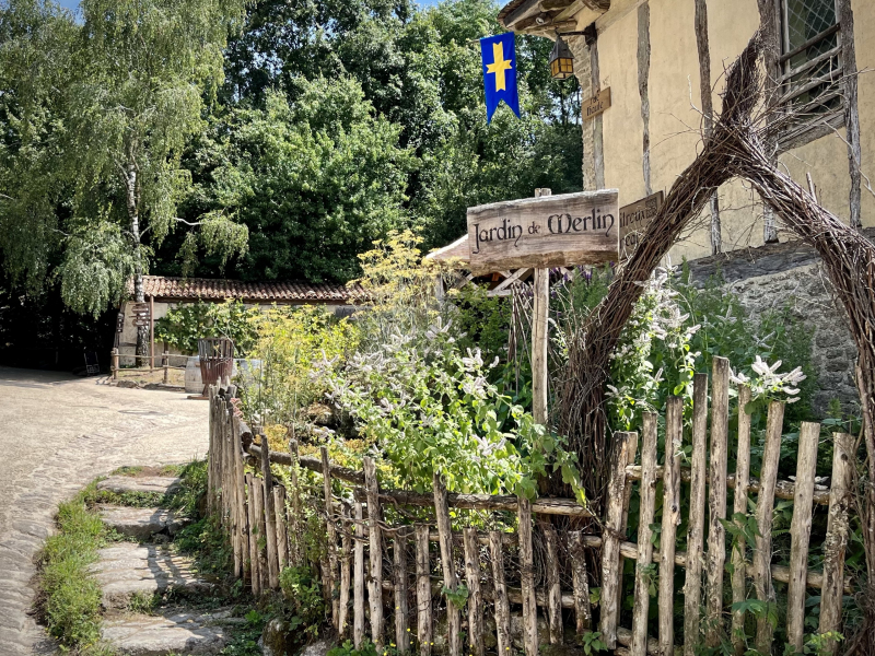 Weg-im-Park