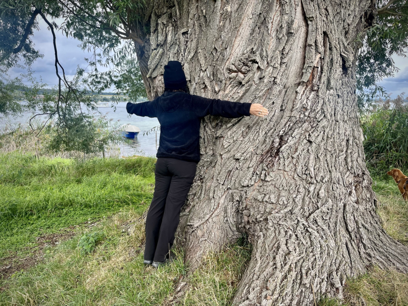 Herbstanfang-Insel-Reichenau