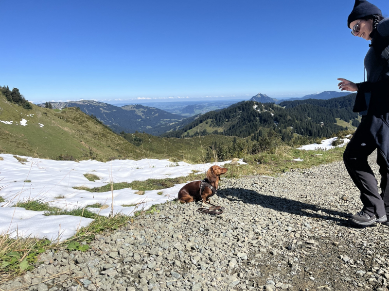 Wanderung-zum-Riedberger-Horn