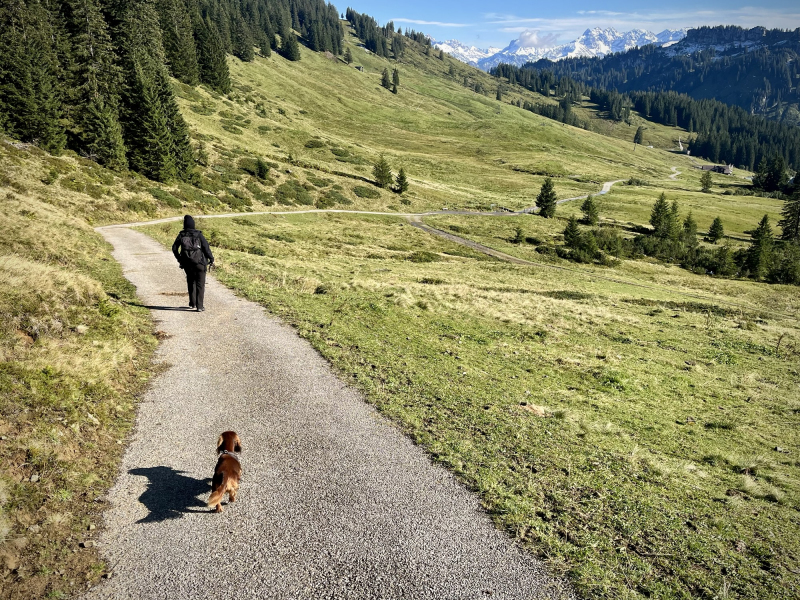 Herbstanfang-Wanderung-zum-Riedberger-Horn