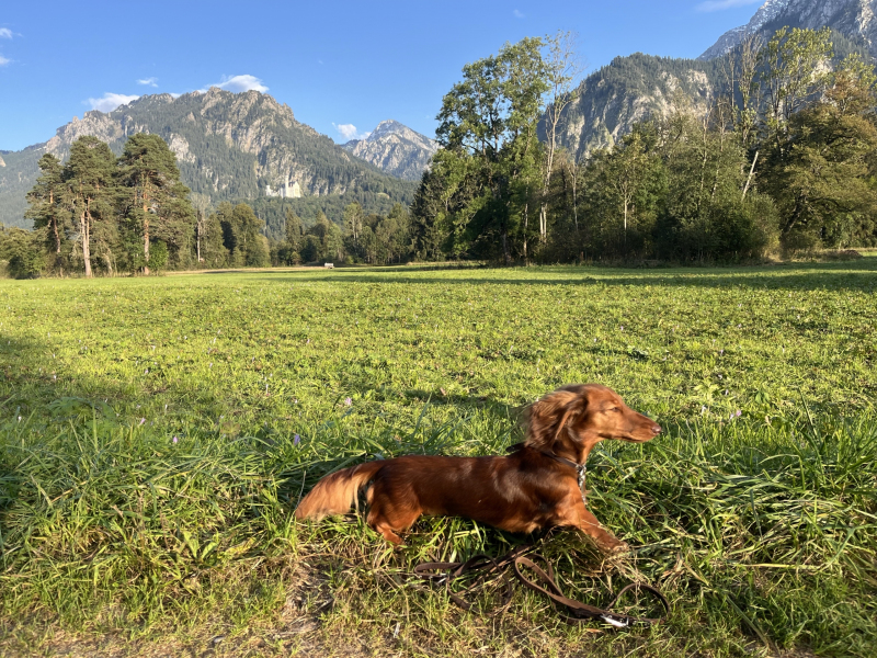 Herbstanfang-Schwangau