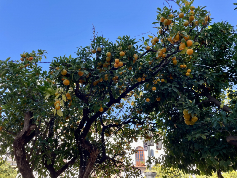 Marbella-Altstadt