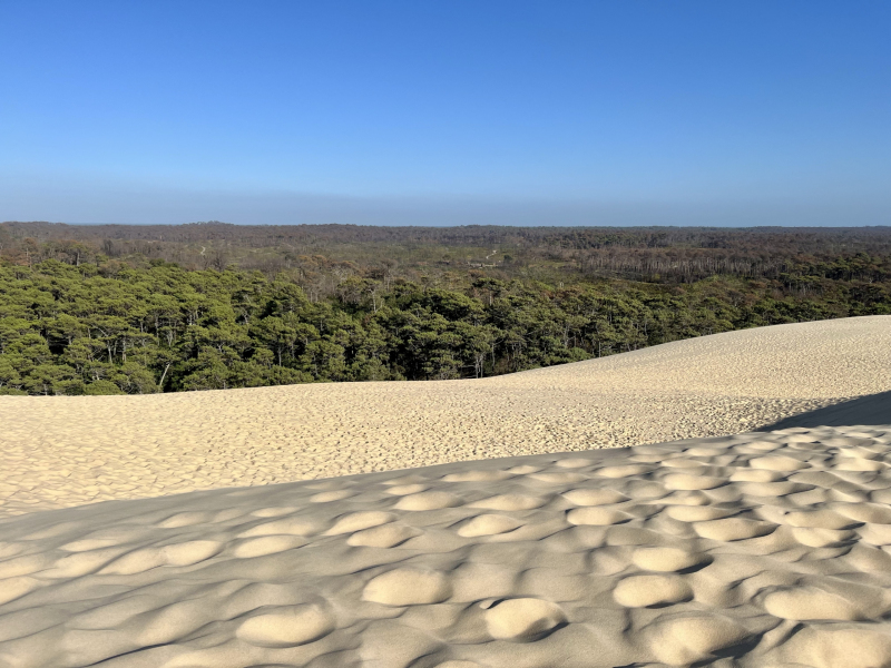 Dune-du-Pilat-Dünenaussicht