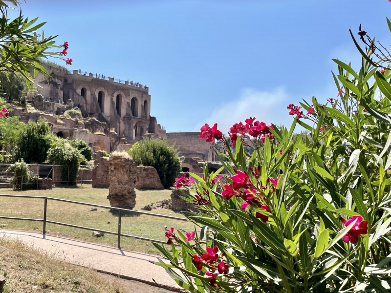 Rom-Forum-Romanum