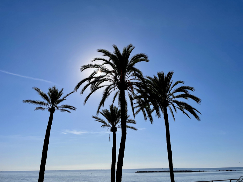 Benalmádena-Palme