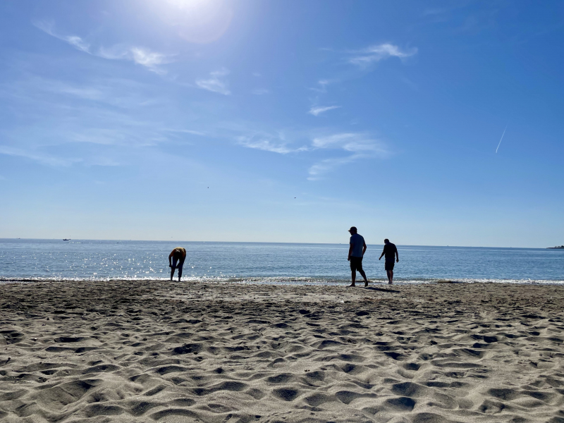 Strandaussicht