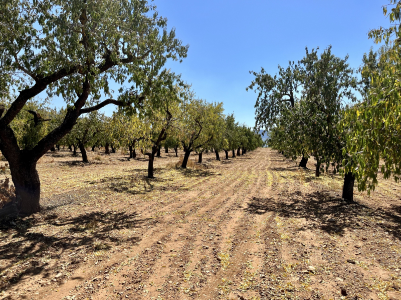 Spanien-Isona-i-Conca-Dellá