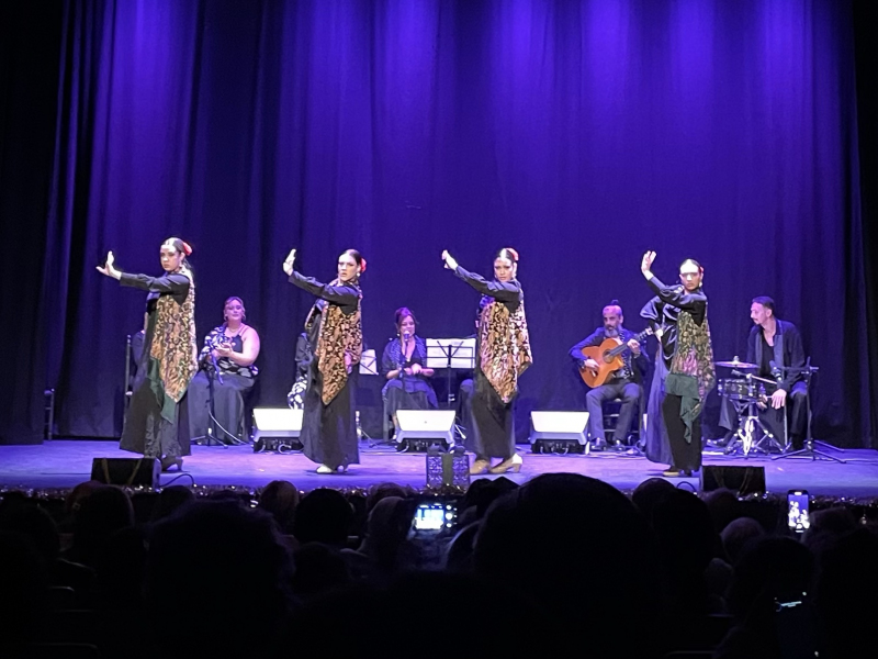 Flamencoshow