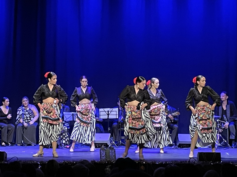 Flamencoshow