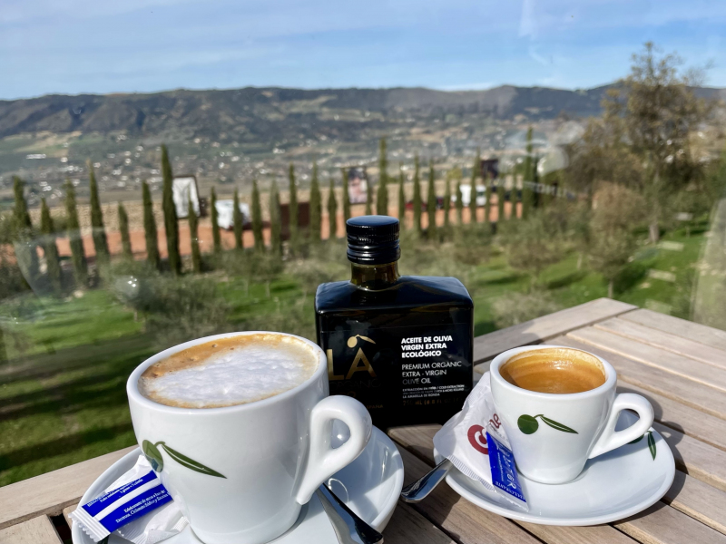 Ronda-Olivenplantage-LA-Organic