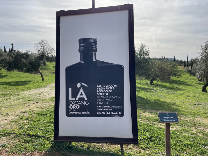Ronda-Olivenplantage-LA-Organic