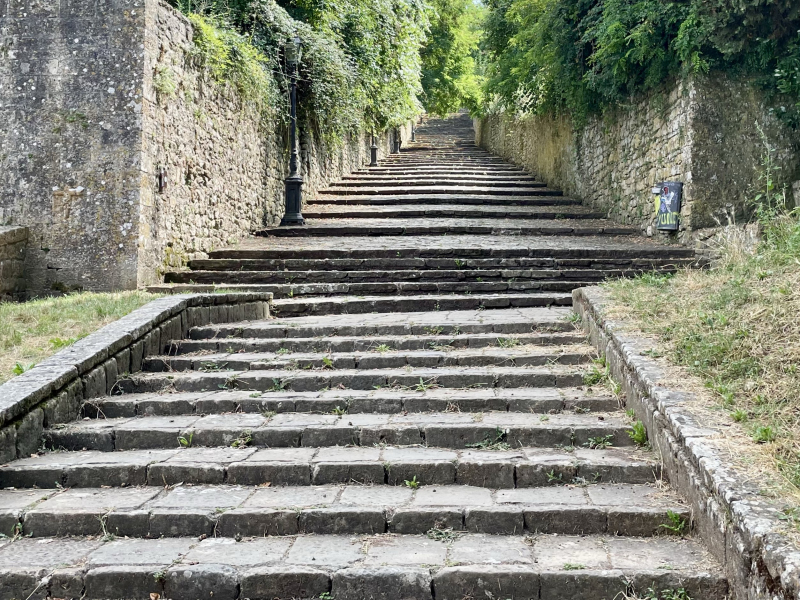 Volterra