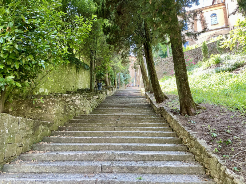 Volterra