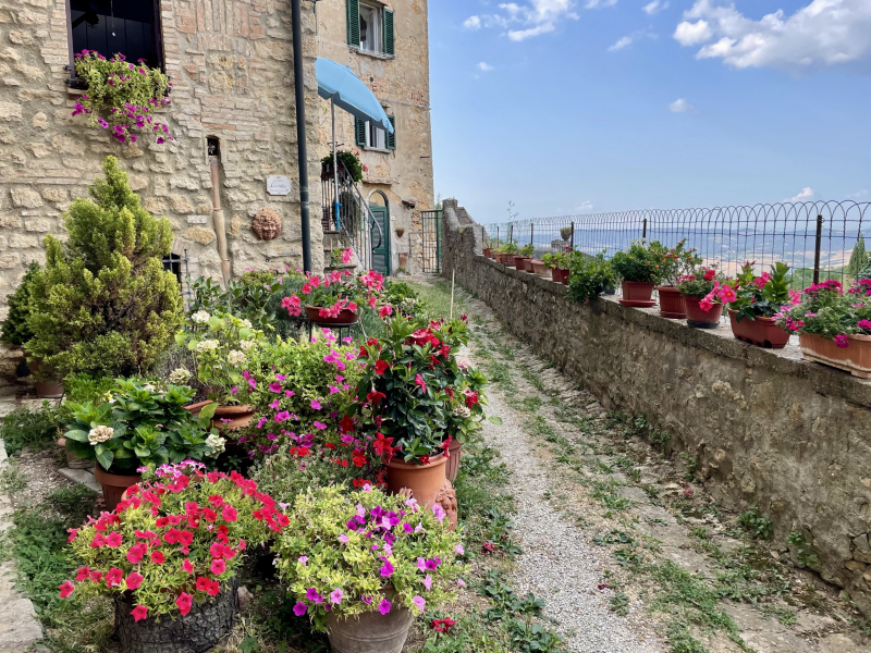 Volterra