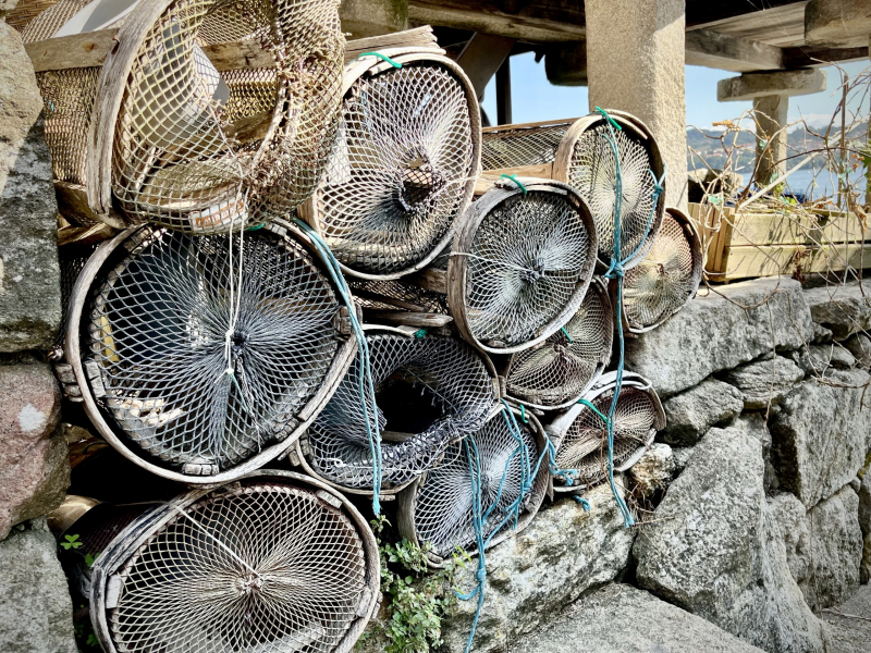 Fischernetze