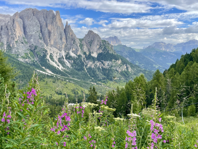 Dolomiten-Rosengarten