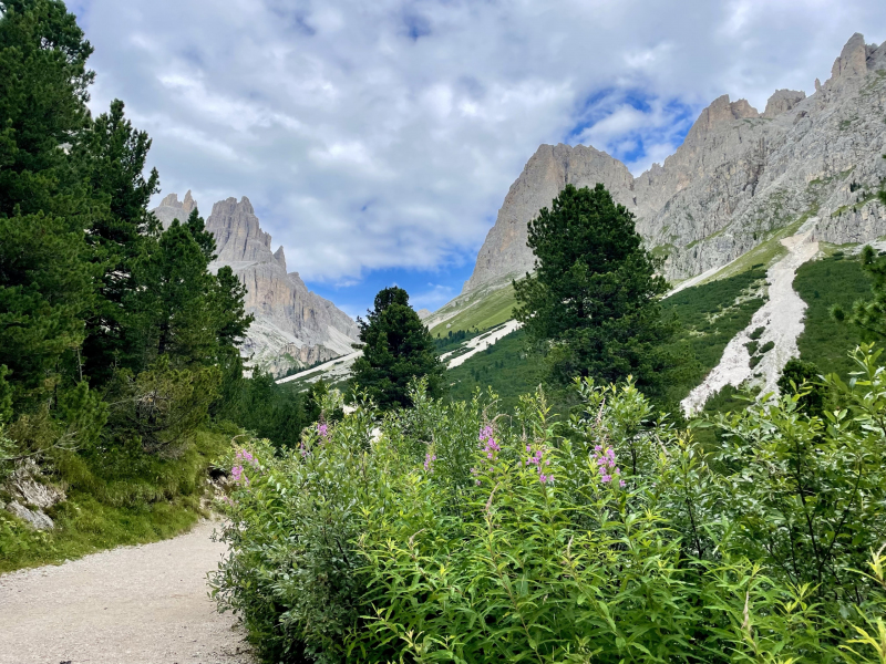 Dolomiten-Rosengarten
