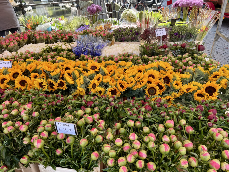 Utrecht-Markt-Blumen