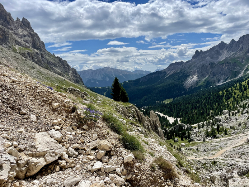 Rosengarten-Südtirol
