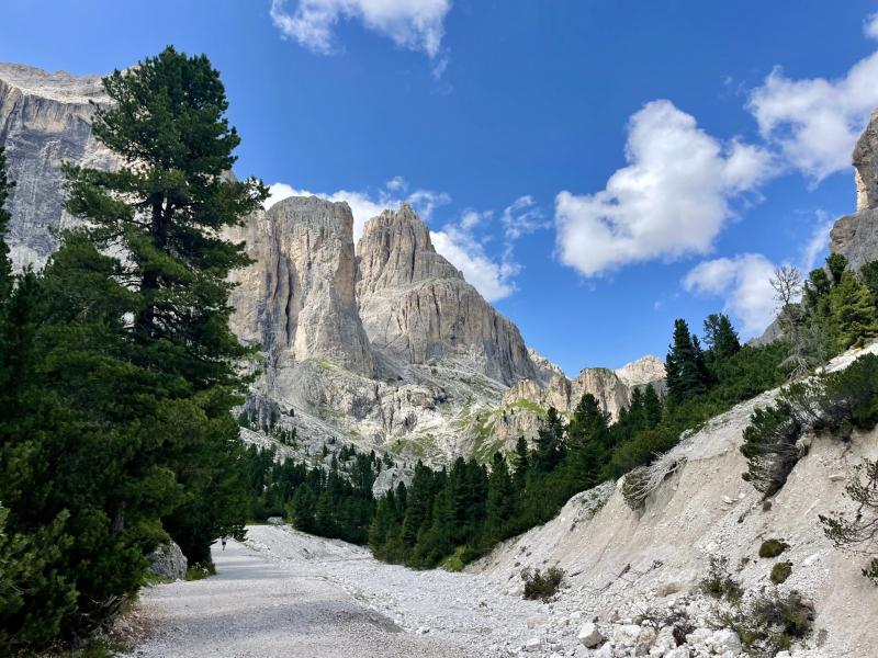 Südtirol-Rosengarten