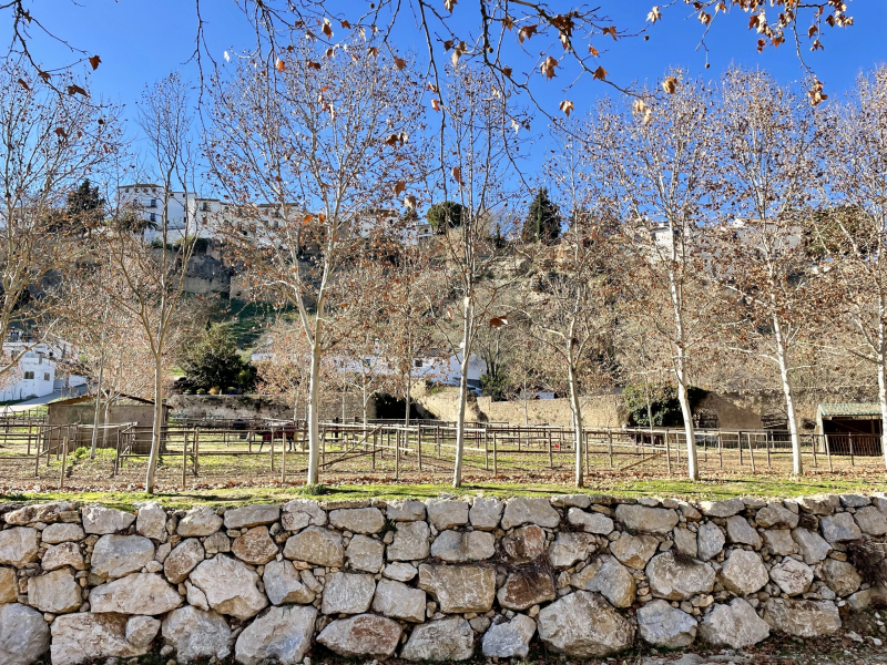 Pferdefarm