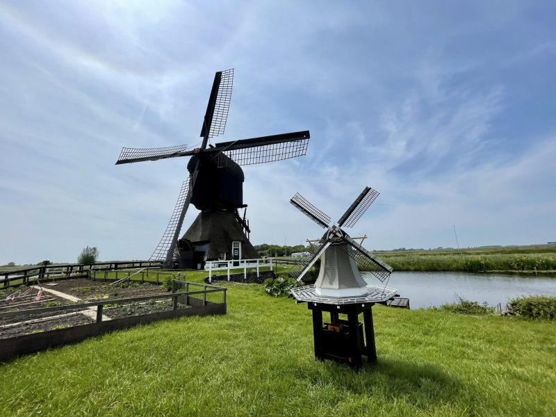 Westermole-im-Doppelpack