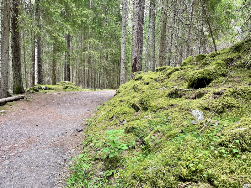 Marinzen-Alm-Wanderweg