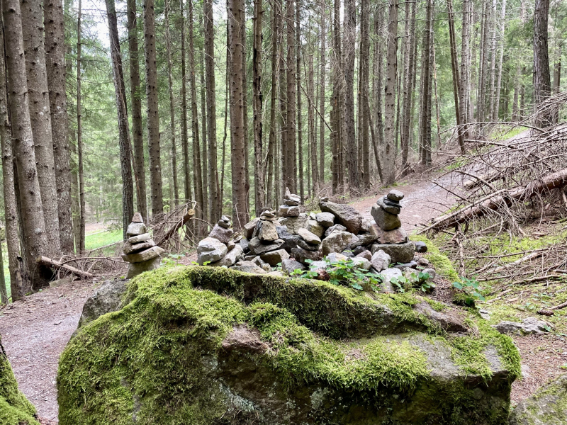 Marinzen-Alm-Wanderweg