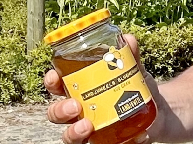 Honig-von-der-Imkerij-Winkel