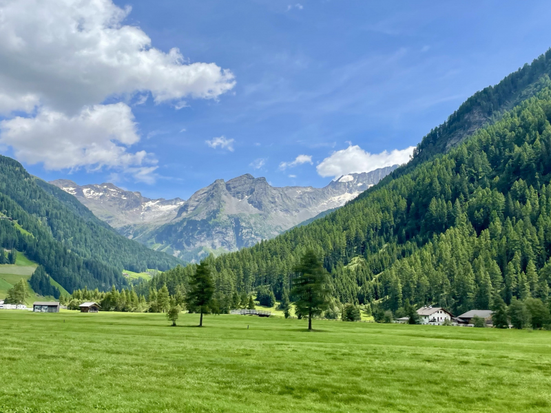 Rein-in-Taufers