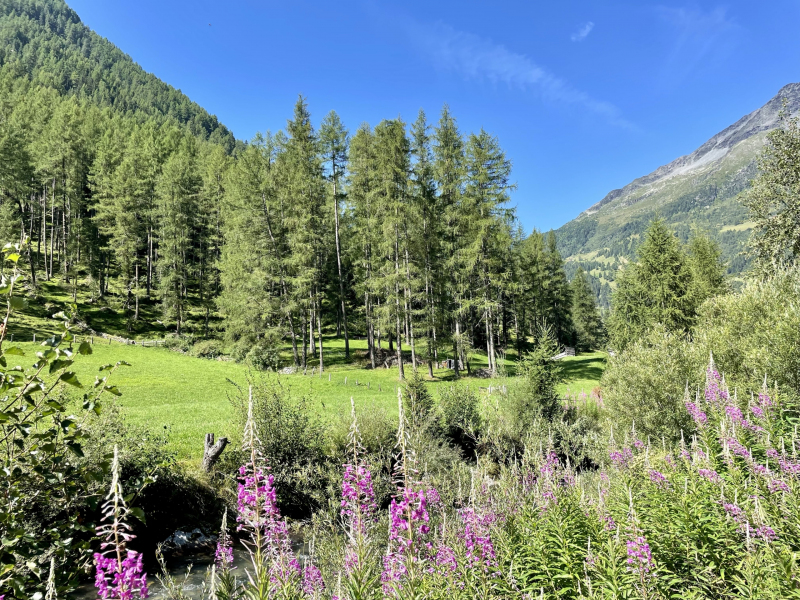 Rein-in-Taufers