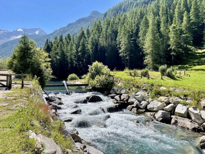 Rein-in-Taufers